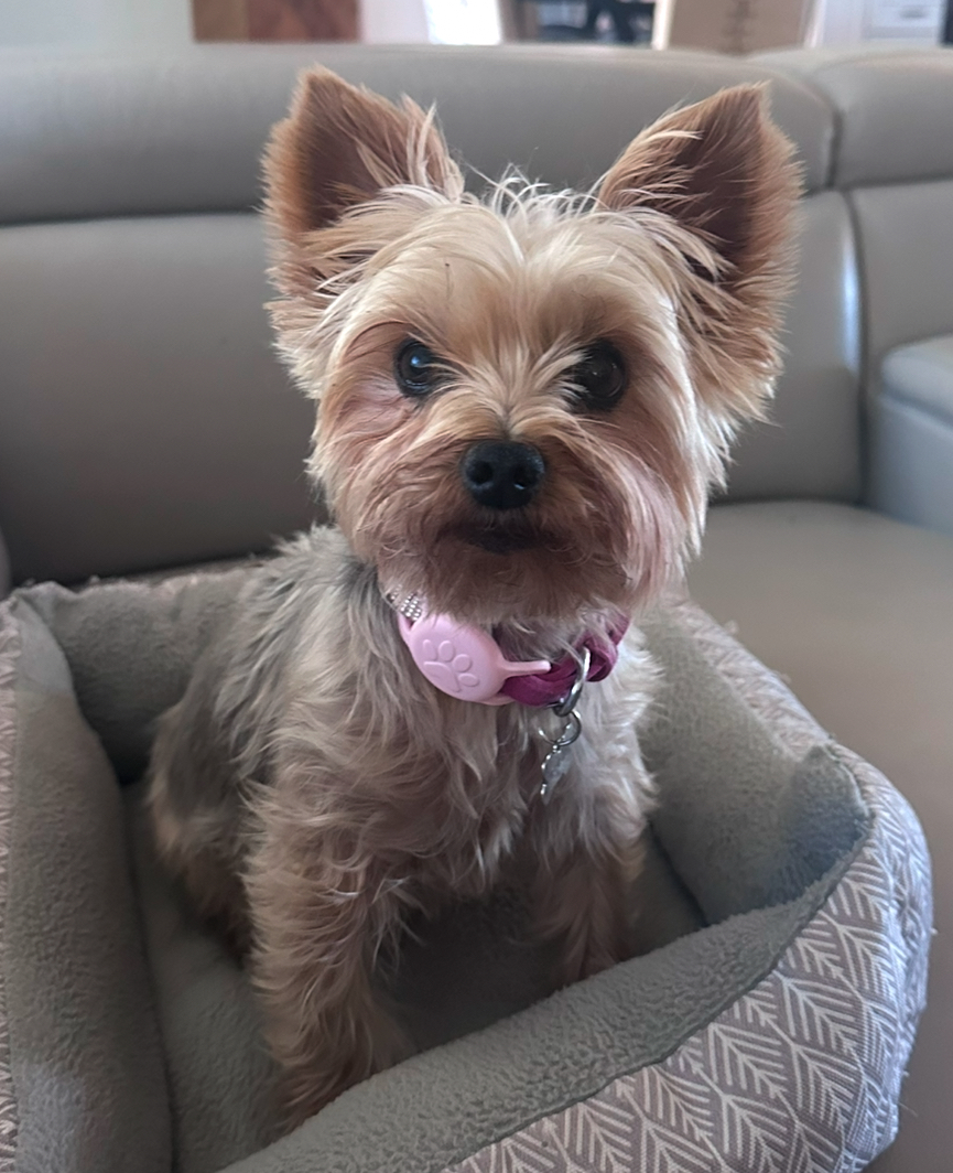 Lucy